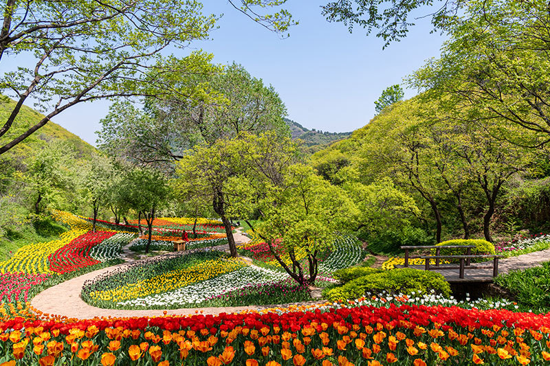 紅葉谷-荷蘭風情園