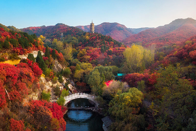 紅葉谷-紅葉景觀