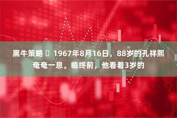 黑牛策略 ☁1967年8月16日，88岁的孔祥熙奄奄一息。临终前，他看着3岁的