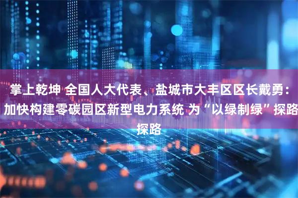 掌上乾坤 全国人大代表、盐城市大丰区区长戴勇： 加快构建零碳园区新型电力系统 为“以绿制绿”探路