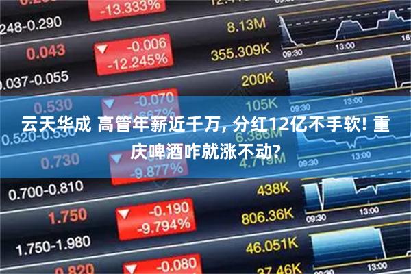 云天华成 高管年薪近千万, 分红12亿不手软! 重庆啤酒咋就涨不动?