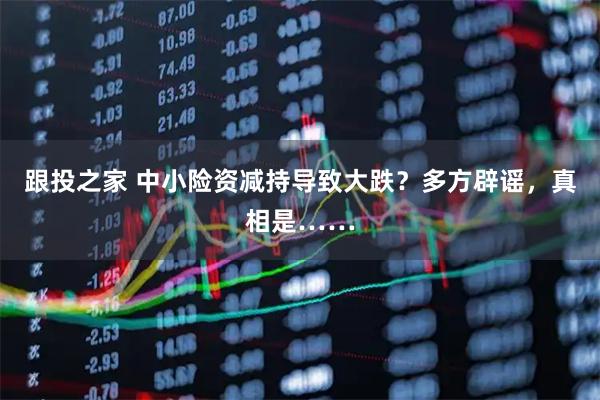 跟投之家 中小险资减持导致大跌?多方辟谣,真相是……