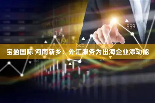 宝盈国际 河南新乡：外汇服务为出海企业添动能
