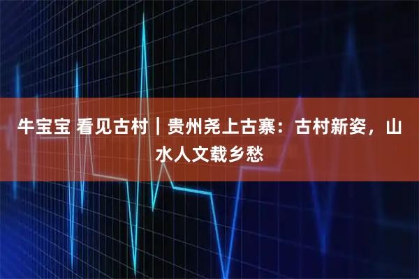 牛宝宝 看见古村｜贵州尧上古寨：古村新姿，山水人文载乡愁