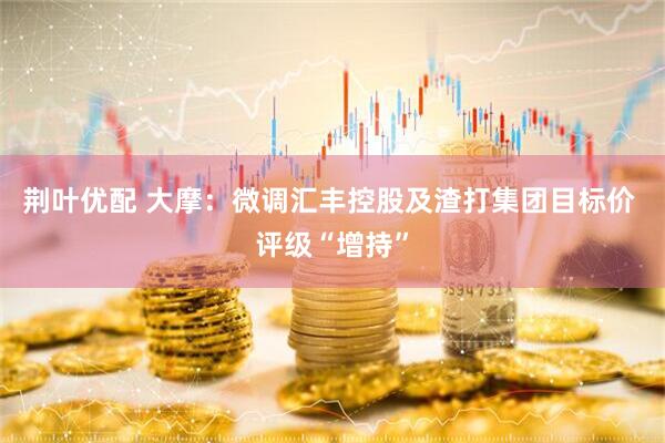 荆叶优配 大摩：微调汇丰控股及渣打集团目标价 评级“增持”
