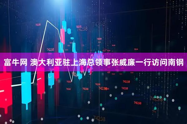 富牛网 澳大利亚驻上海总领事张威廉一行访问南钢