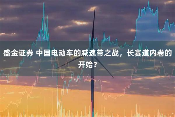 盛金证券 中国电动车的减速带之战,长赛道内卷的开始?