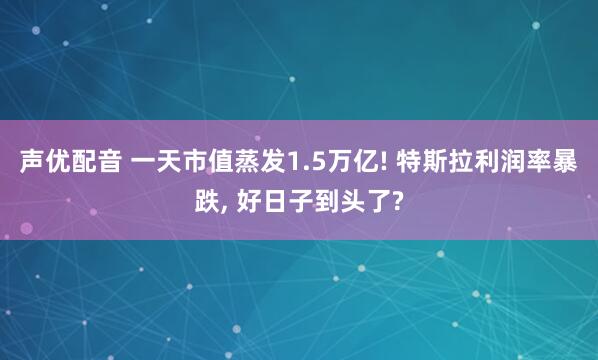 声优配音 一天市值蒸发1.5万亿! 特斯拉利润率暴跌, 好日子到头了?