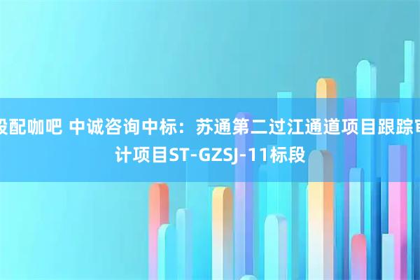 股配咖吧 中诚咨询中标：苏通第二过江通道项目跟踪审计项目ST-GZSJ-11标段