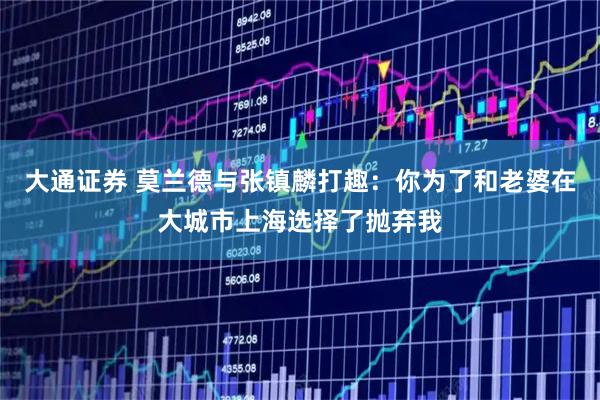 大通证券 莫兰德与张镇麟打趣：你为了和老婆在大城市上海选择了抛弃我