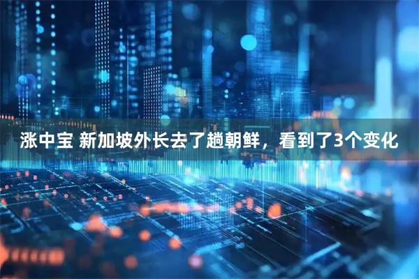 涨中宝 新加坡外长去了趟朝鲜，看到了3个变化