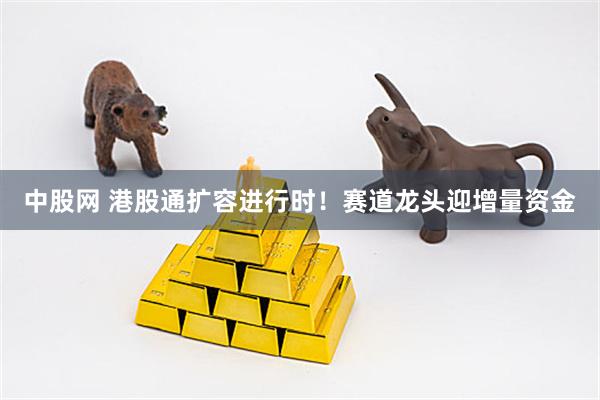 中股网 港股通扩容进行时！赛道龙头迎增量资金