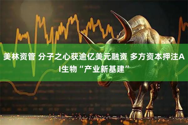美林资管 分子之心获逾亿美元融资 多方资本押注AI生物“产业新基建”