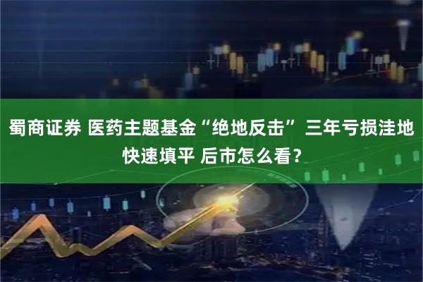 蜀商证券 医药主题基金“绝地反击” 三年亏损洼地快速填平 后市怎么看？
